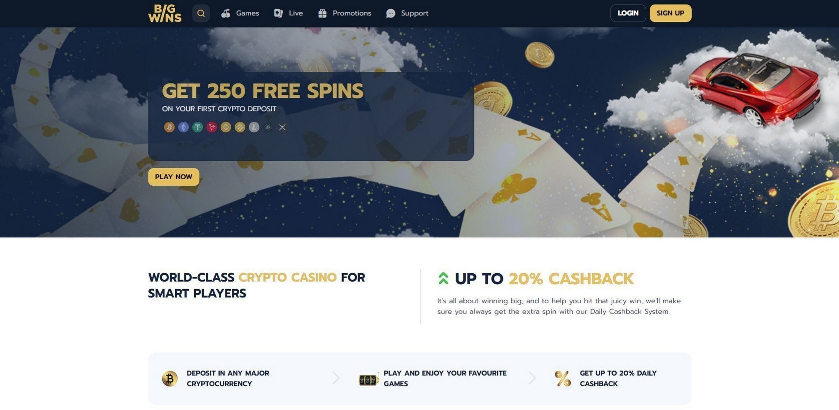 Bigwin Casino Testimonial